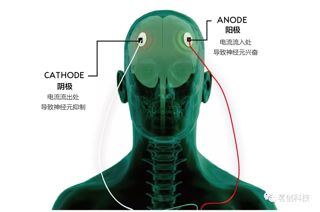 認知神經(jīng)科學常用的研究工具和技術